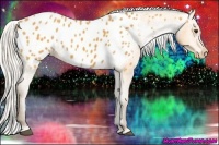 Horse Color:Silver Buckskin Blanket 