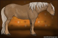 Horse Color:Chocolate Palomino 