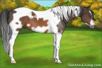 Horse Color:Brown Splash Tobiano Frame