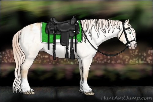 Horse Color:Gray Gold Cream Champagne Roan Dun Splash Appaloosa