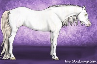 Horse Color:Gold Champagne Ice Dun Tobiano Blanket 