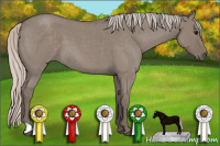 Horse Color:Silver Grullo Roan 