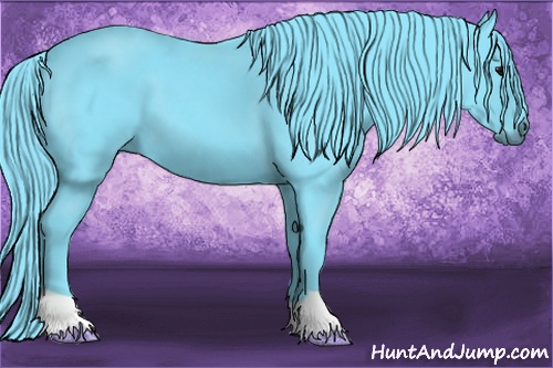Horse Color: Watercolor Black 