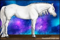 Horse Color:Gray Silver Amber Cream Champagne Roan Dun Splash Tobiano Frame Appaloosa Rabicano 