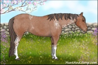 Horse Color:White Spotted Bay Varnish 