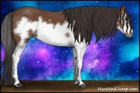Horse Color:Bay Splash Frame 