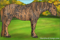 Horse Color:Black  Brindle