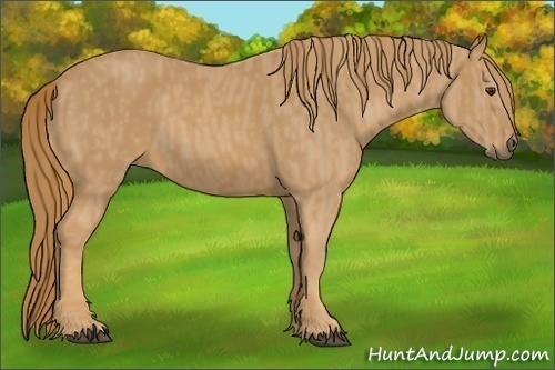 Horse Color: Chestnut  Brindle