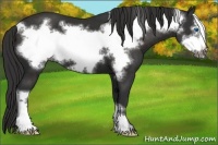 Horse Color:Liver Chestnut Frame 