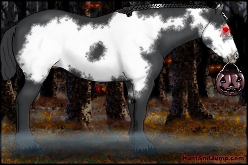 Horse Color: Black Frame 