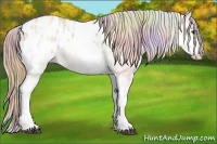 Horse Color:Nacre White Spotted Red Dun Ice Appaloosa 