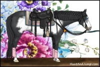 Horse Color:Black Sabino Frame 