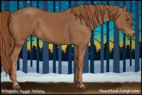 Horse Color:Chestnut Sabino 