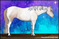 Horse Color:Liver Chestnut Pearl Tobiano Appaloosa 