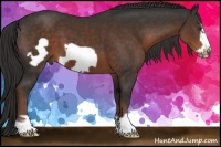 Horse Color:Liver Chestnut Frame 