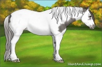 Horse Color:Grullo Splash Tobiano Frame Snowcap 