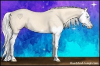 Horse Color:Cremello Splash 