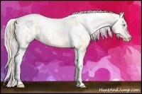 Horse Color:Palomino Pearl Dun Tobiano Blanket 