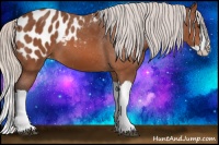Horse Color:Silver Bay Splash Appaloosa 