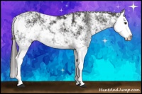 Horse Color:Liver Chestnut Sabino Splash 