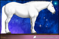 Horse Color:Gray Chestnut Chinchilla