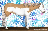 Horse Color:Palomino Splash Frame Rabicano 