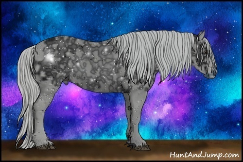 Horse Color: ERROR: UNKNOWN ANOMALY