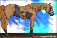 Horse Color:Brown Rabicano Brindle