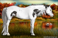 Horse Color:White Spotted Liver Chestnut Splash Tobiano 
