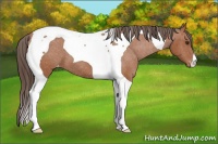 Horse Color:Bay Tobiano Varnish 