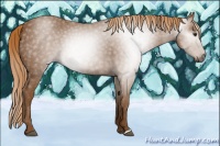 Horse Color:Gray Chestnut Blanket 