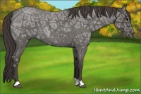Horse Color:Smoky Blue Ice Roan