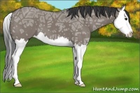 Horse Color:Grullo Ice Splash 