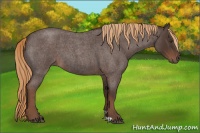 Horse Color:Liver Red Roan 