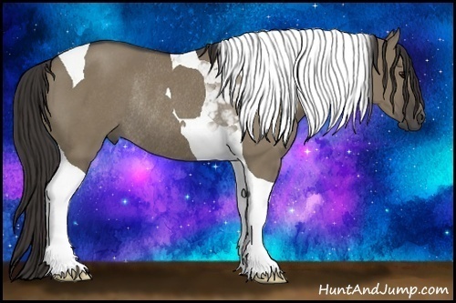 Horse Color: Smoky Grullo Tobiano Rabicano 