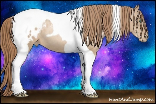 Horse Color: Smoky Black Pearl Tobiano Blanket 