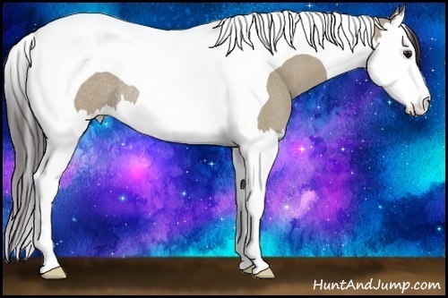 Horse Color: Smoky Grullo Splash Tobiano Rabicano 