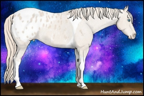 Horse Color: Smoky Creme Tobiano Blanket 