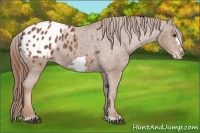 Horse Color:Chestnut Frame Blanket