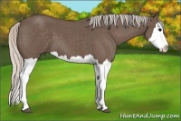 Horse Color:Silver Blue Roan Splash 