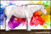 Horse Color:Watercolor Bay Dun Splash Tobiano Varnish