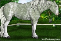 Horse Color:Watercolor White Spotted Silver Smoky Black Ice 