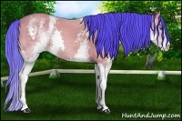 Horse Color:Watercolor White Spotted Buckskin Splash 