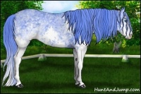 Horse Color:Watercolor White Spotted Smoky Black Ice Splash 