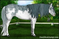 Horse Color:Watercolor Smoky Black Ice Splash 