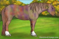 Horse Color:Nacre Chestnut 