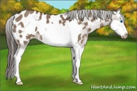 Horse Color:Liver Red Dun Splash Frame Blanket 