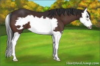 Horse Color:Brown Splash Frame 