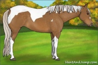 Horse Color:Silver Buckskin Tobiano 
