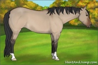 Horse Color:Brown Roan Dun 